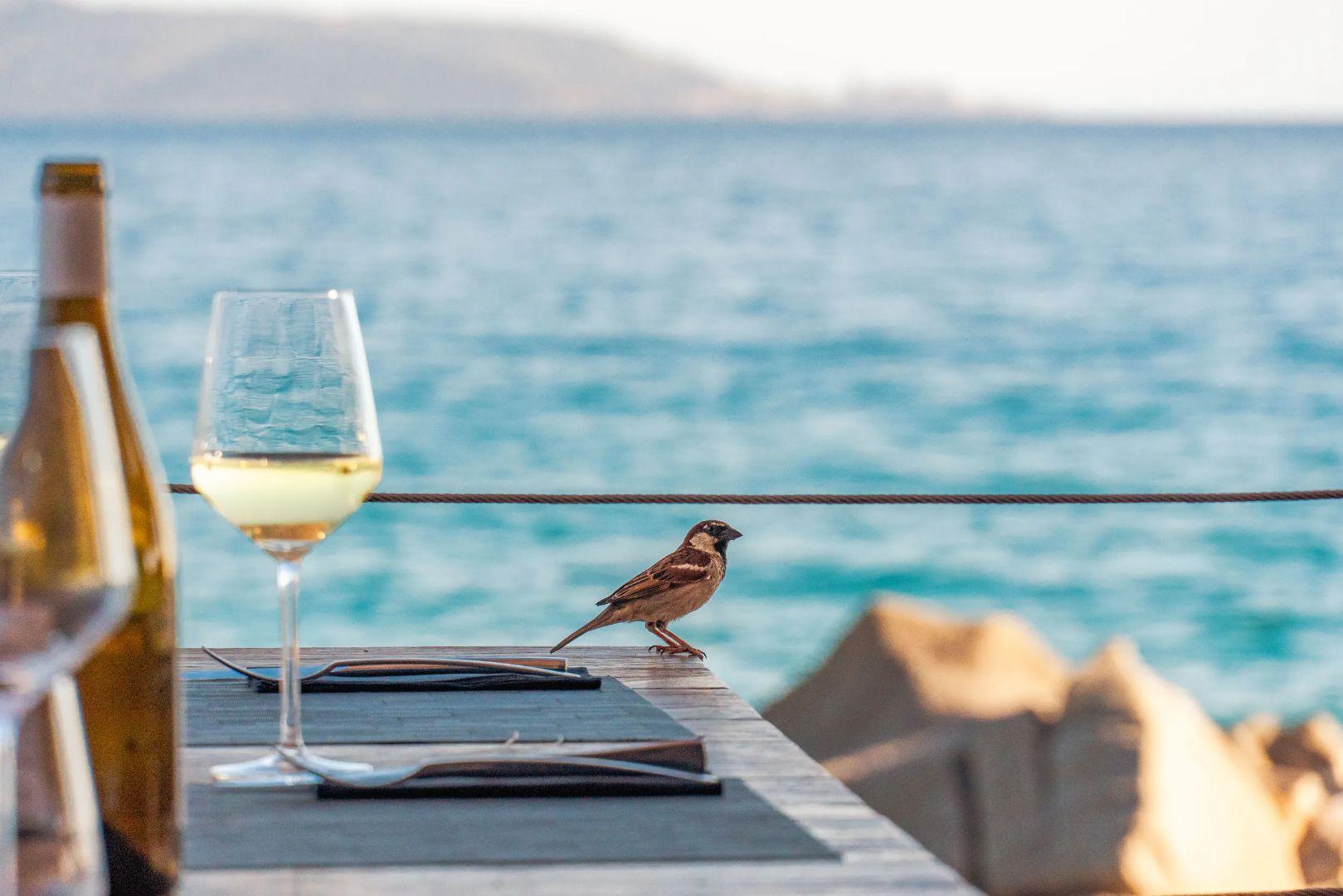 Le bar vue mer de l'hôtel Abbartello